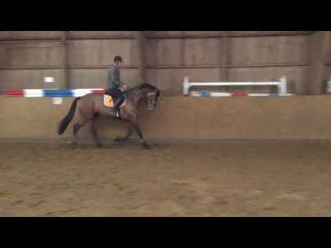 Cascadello I — Carry