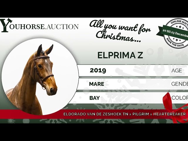 Elprima showvideo indoor