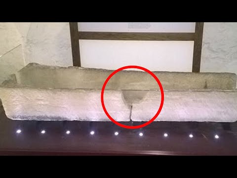 自撮りドミノ:博物館に20万ドルの損害