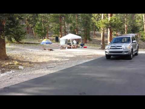 Video of Mcwilliams Campsite 24 and 25.