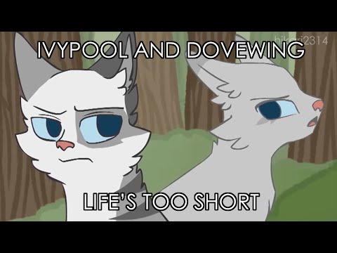 Ivypool and Dovewing: Life's Too Short [COMPLETE MAP]