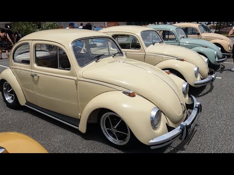 The BIGGEST meeting of BEETLES in BRAZIL!