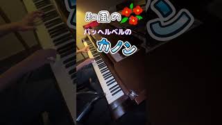 Download lagu パッヘルベル/ カノン/ 短調　#ピアノ #カノン #パッヘルベルのカノン #和風のクラシック mp3