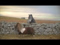 Three - The Pony (MOONWALK) #DancePonyDance ...