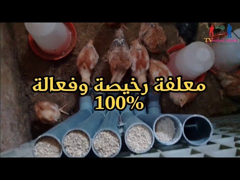 صنع معلفة شبه أتوماتكية لدجاج بالمغرب بي أنبوب بلاستيكي 100% soun3 mi3lafa lidajaj bldi bi almaghrib