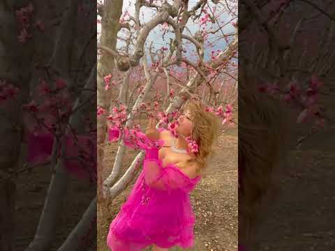 20 Lub Xyoo Koj Puas Nco Kuv Lawm By Ka Chang,  Nkauj Tawm Tshiab