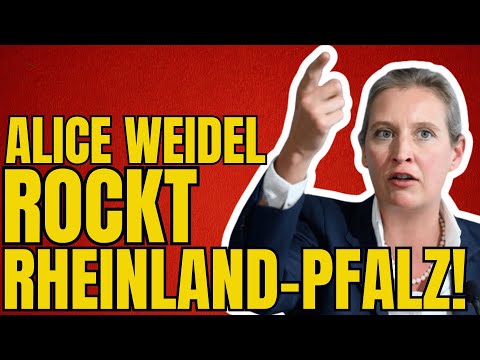 Alice Weidel AfD lässt es RICHTIG KRACHEN Rede 16.01.26