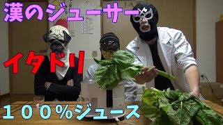 漢のジューサーシリーズ　イタドリ