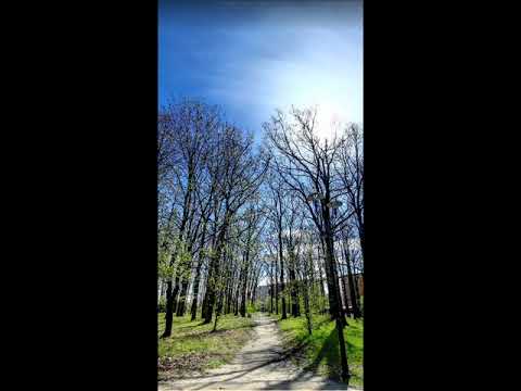 mcp - nie zostawię was sierotami