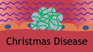 Christmas Disease and Hemostasis