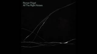 Roman Flügel   Planet Zorg Dial Records