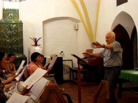 Ha folyóvíz volnék - Birtalan József