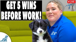 Get 5 Dog Training Wins EVERY DAY Before Work!