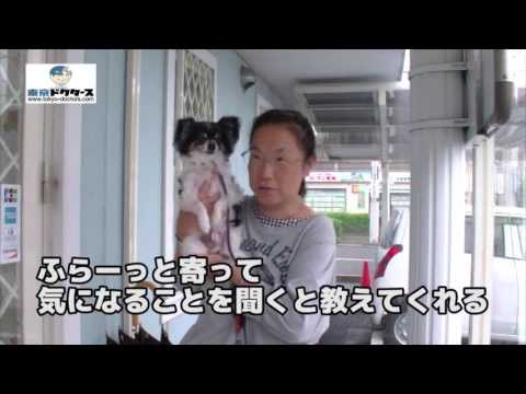 不明女性の声