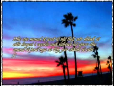 Sheikh Albani - Sulmet Vetvrasese