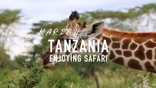 Tanzania - enjoying safari