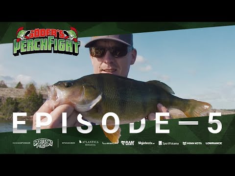 Perch Fight 2019 - Episode 5
