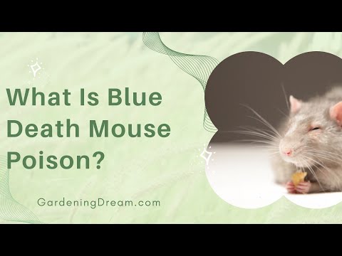 What Is Blue Death Mouse Poison