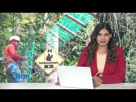 In San Antonio de Prado and Robledo, new greenways are being installed to protect wildlife on the...