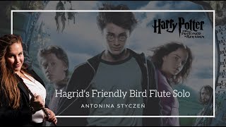 Harry Potter - Hagrid's Friendly Bird Flute Solo