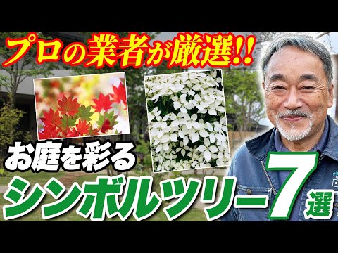 常緑樹のプライバシー スクリーン ツリーを選ぶ理由は何ですか?あなたの屋外スペースにどれを選ぶべきですか？  庭園