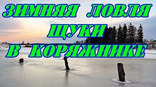 Ловля на жерлицы в коряжнике
