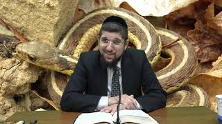 זרע שמשון פרשת חוקת איך הנחש הקיש את רבי חנניא?? הרב אליהו עמר שליט"א