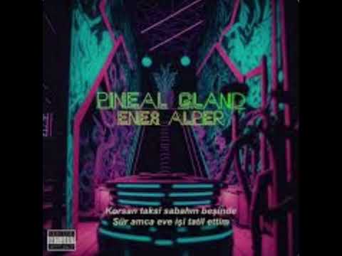 Enes Alper - Pineal Gland
