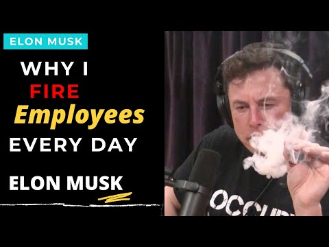Why I Fire Employees Everyday | Elon Musk | Motivational |