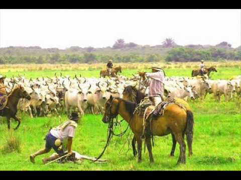 LIBARDO OLARTE M...PICADILLO VEGUERO....wmv