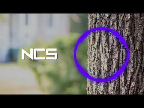 KRYXO - HEY | Future House | NCS - Fanmade