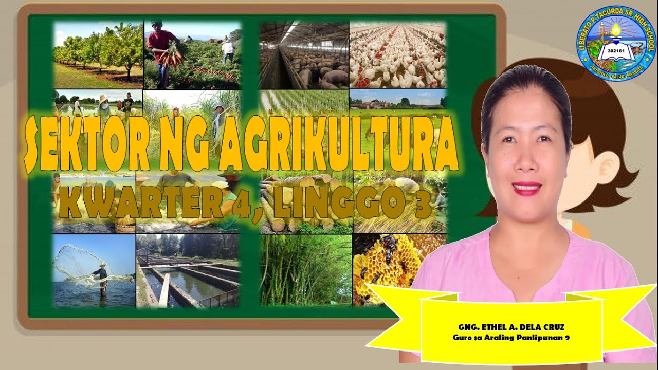 MELCS BASED SEKTOR NG AGRIKULTURA