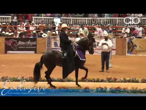 exclusivo de dos aguas