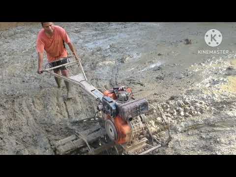 Kabatuhan Integrated School: Integrated farming # Land Preparation # Part 3