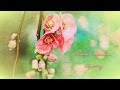 Saint Etienne - Spring 