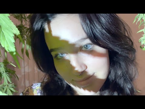 Britt Lari & BIMINI - WNDRLND (Official Video)