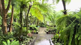 Download lagu Beautifull Tropical garden house idea 2024 mp3