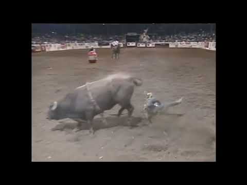 The Noid bucks Mike White - 99 PBR Albuquerque