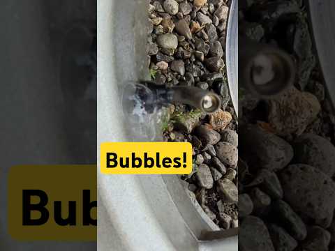 Can I fix leaking tire Valve Stem with Silicone Spray? #short #tires