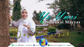 Download lagu QODDUKAL MAYYAS YA UMRI | COVER - WAFIQ AZIZAH mp3