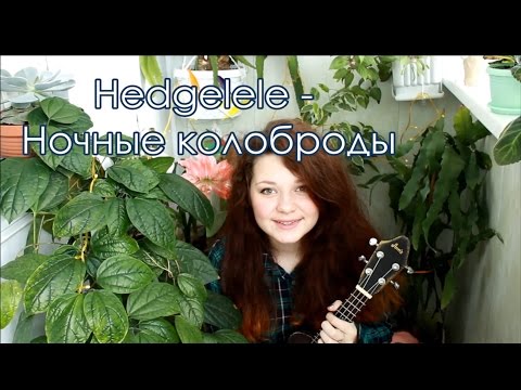 Hedgelele - Ночные колоброды разбор