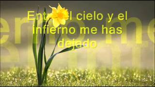 Entre el cielo y el infierno  Bronco