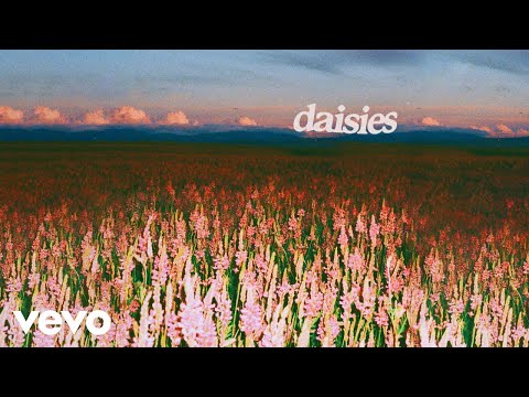 Weston Estate - Daisies (Official Audio)