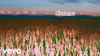Cover art for Daises