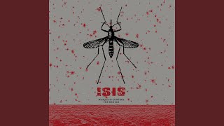 Red Sea Music Video