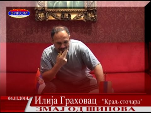 VIKOM RTV - ZMAJ OD ŠIPOVA - IV - 2014