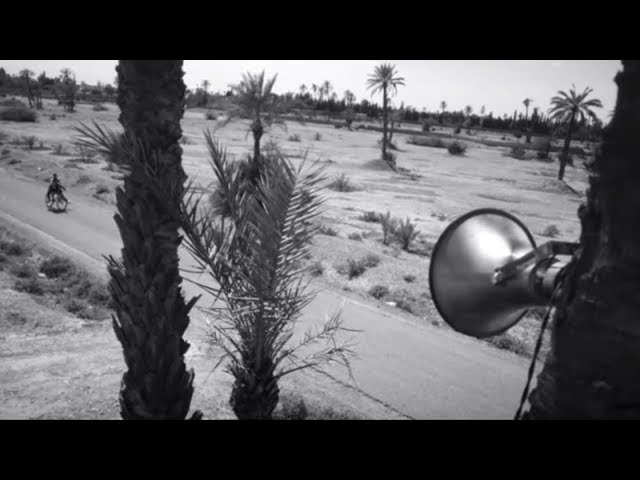 Ticket von Seeed ((jetzt ansehen))