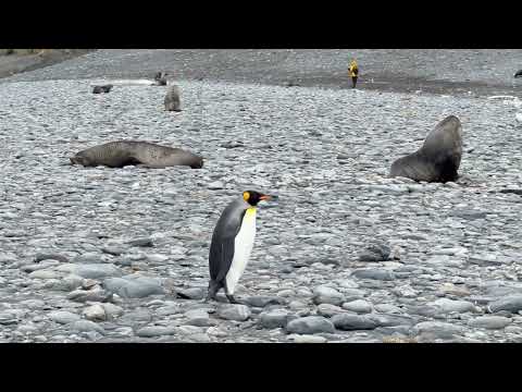 blockhead love story