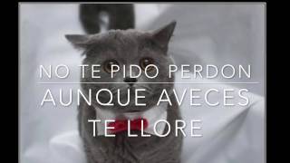 Noche de Copas Rocio La Dama de La Cumbia Con Letra (Lyrics)