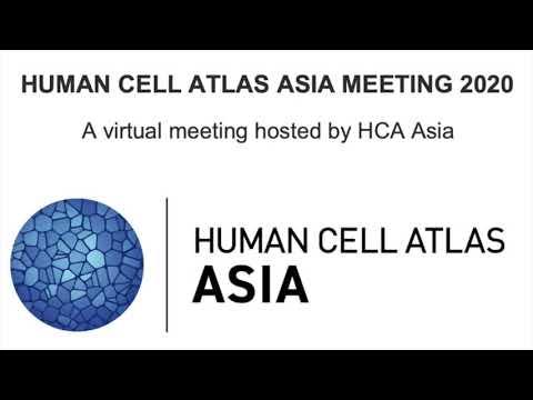 HCA Meeting Asia 2020: Report back from breakout sessions